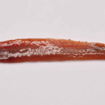 Anchoas